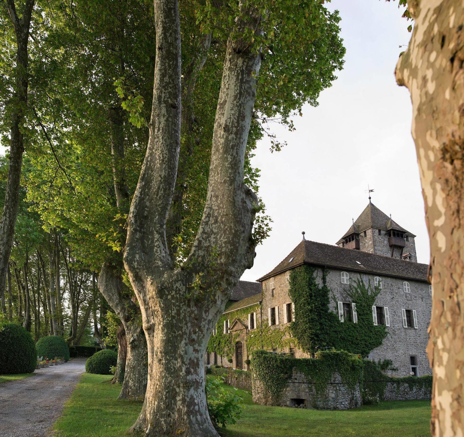Chateau De Coudree - Les Collectionneurs Sciez Zewnętrze zdjęcie